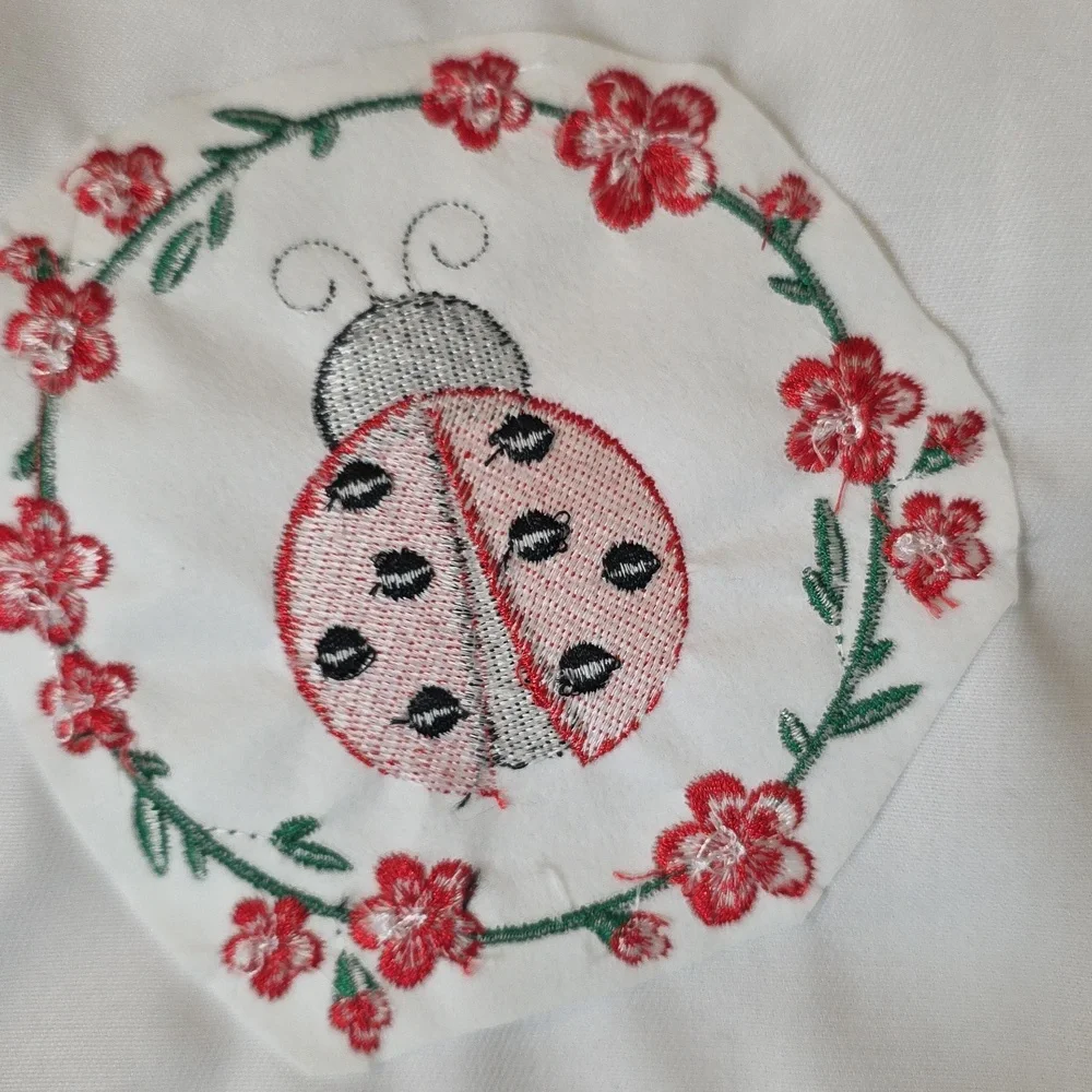 Handcrafted Embroidered Ladybug Gingham Hand Towels Set Of 2 18